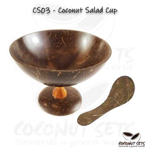 Coconut Shell Salad Cup