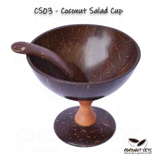 Coconut Shell Salad Cup With Spoon
